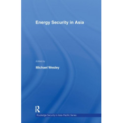 Energy Security in Asia