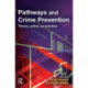 Pathways and Crime Prevention