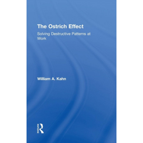 The Ostrich Effect: Solving Destructive Patterns at Work
