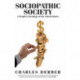 Sociopathic Society: A People's Sociology of the United States