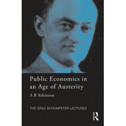 Public Economics in an Age of Austerity