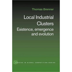 Local Industrial Clusters: Existence, Emergence and Evolution