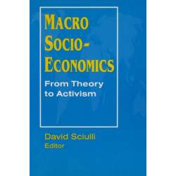 Macro Socio-economics: From Theory to Activism: From Theory to Activism