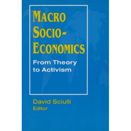 Macro Socio-economics: From Theory to Activism: From Theory to Activism