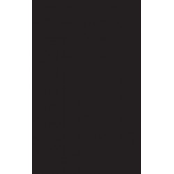 Bollywood Cinema: Temples of Desire