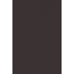 To Speak for the People: Public Opinion and the Problem of Legitimacy in the French Revolution