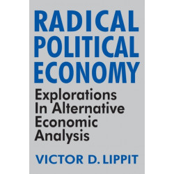 Radical Political Economy: Explorations in Alternative Economic Analysis