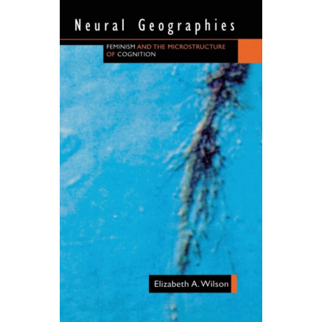 Neural Geographies: Feminism and the Microstructure of Cognition