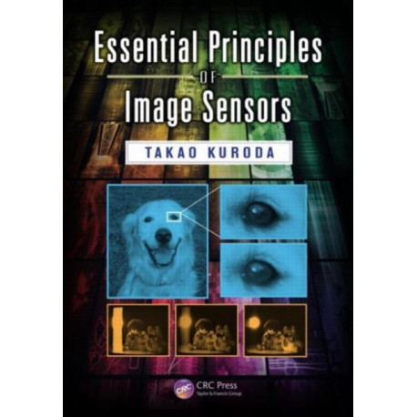 Essential Principles of Image Sensors