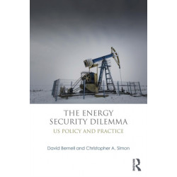 The Energy Security Dilemma: US Policy and Practice