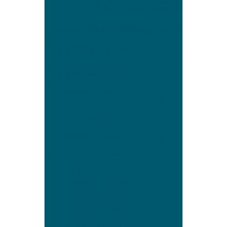 Changing Face of Money: Will Electric Money Be Adopted in the United States?