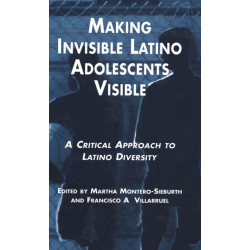 Making Invisible Latino Adolescents Visible: A Critical Approach to Latino Diversity