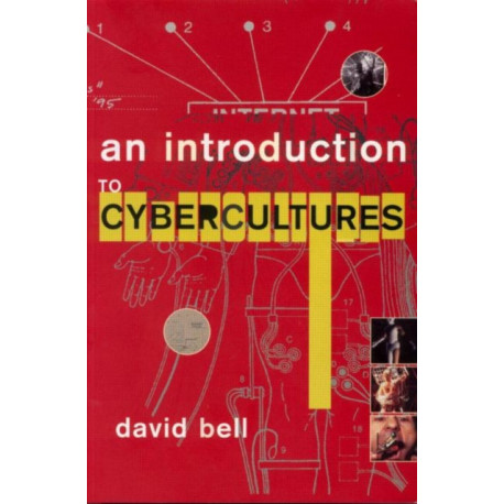 An Introduction to Cybercultures