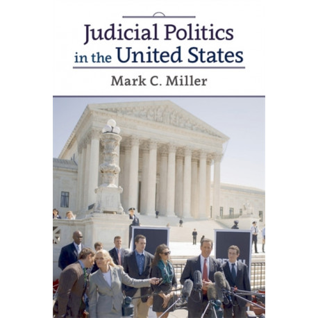 Judicial Politics in the United States