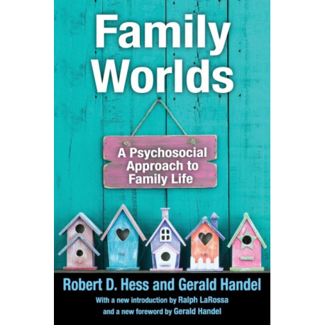 Family Worlds: A Psychosocial Approach to Family Life