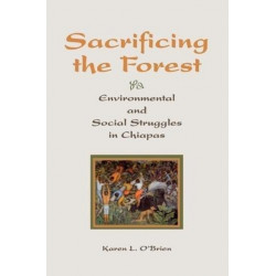 Sacrificing The Forest: Environmental And Social Struggle In Chiapas