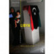 Libya: Continuity and Change
