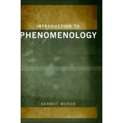 Introduction to Phenomenology
