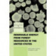 Renewable Energy from Forest Resources in the United States