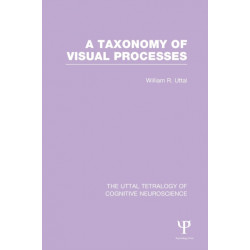A Taxonomy of Visual Processes