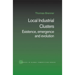 Local Industrial Clusters: Existence, Emergence and Evolution