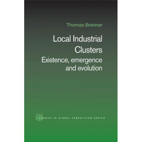 Local Industrial Clusters: Existence, Emergence and Evolution