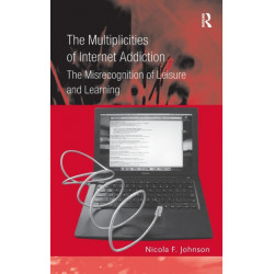 The Multiplicities of Internet Addiction: The Misrecognition of Leisure and Learning