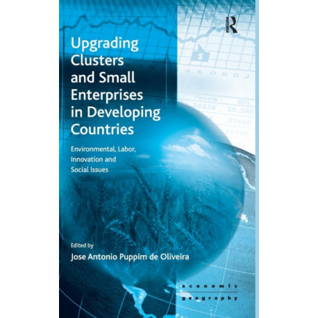Upgrading Clusters and Small Enterprises in Developing Countries: Environmental, Labor, Innovation and Social Issues