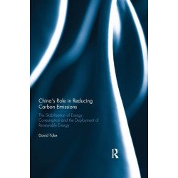 China’s Role in Reducing Carbon Emissions: The Stabilisation of Energy Consumption and the Deployment of Renewable Energy