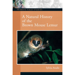 A Natural History of the Brown Mouse Lemur
