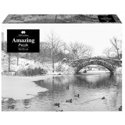 Amazing Puzzle - Amazing Winterlake