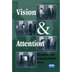 Vision and Attention