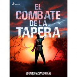 El combate de la tapera