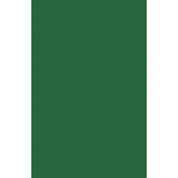 Dynamics of Ethnic Identity: Three Asian American Communities in Philadelphia