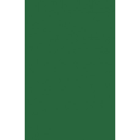 Dynamics of Ethnic Identity: Three Asian American Communities in Philadelphia