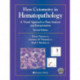 Flow Cytometry in Hematopathology: A Visual Approach to Data Analysis and Interpretation