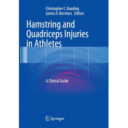 Hamstring and Quadriceps Injuries in Athletes: A Clinical Guide