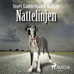 Nattelinjen