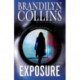 Exposure: A Novel