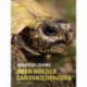 Børn holder landskildpadder