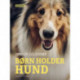 Børn holder hund