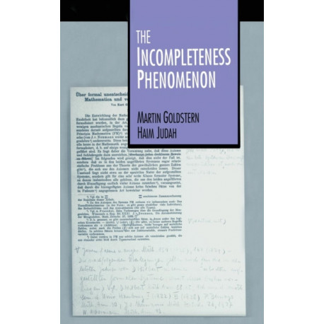 The Incompleteness Phenomenon