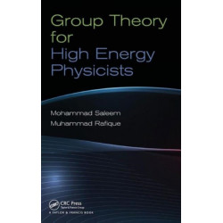 Group Theory for High Energy Physicists