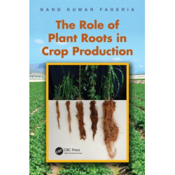 The Role of Plant Roots in Crop Production