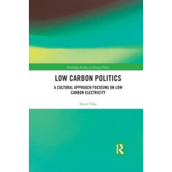 Low Carbon Politics: A Cultural Approach Focusing on Low Carbon Electricity