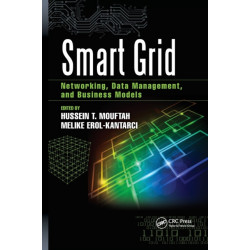 Smart Grid: Networking, Data Management, and Business Models