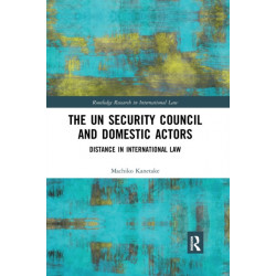The UN Security Council and Domestic Actors: Distance in international law