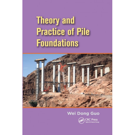 Theory and Practice of Pile Foundations