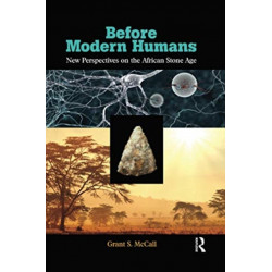 Before Modern Humans: New Perspectives on the African Stone Age