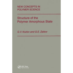 Structure of the Polymer Amorphous State